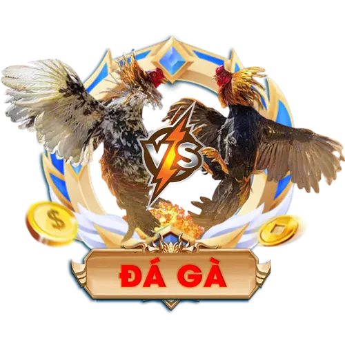 Liên Kết Nhanh Đá Gà