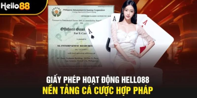 Giấy phép hoạt động